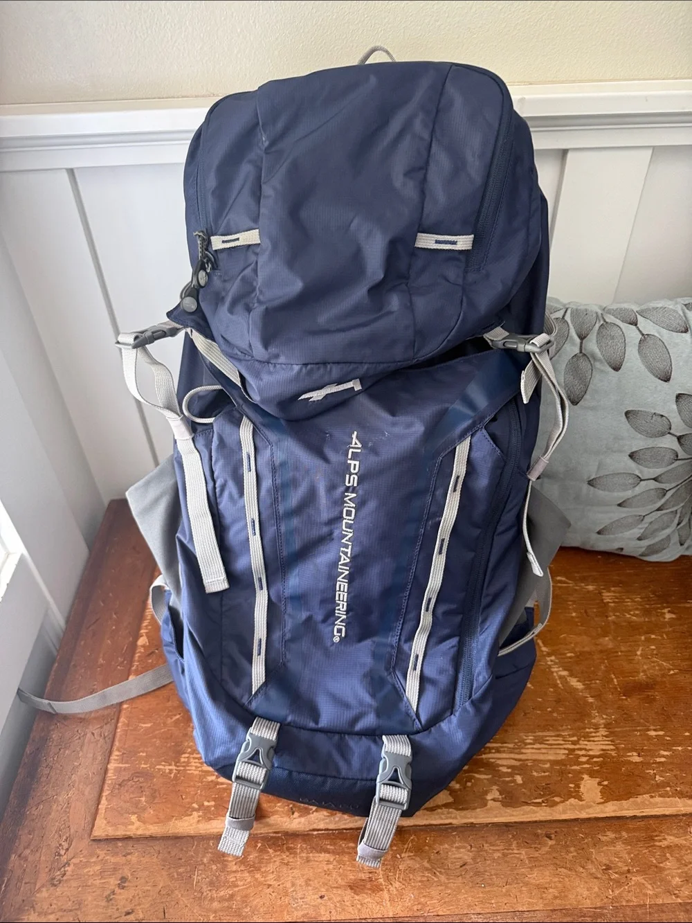 Alps Mountaineering® Baja 60 Backpack